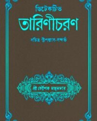 Detective Tarinicharan || Koushik Majumder || ডিটেকটিভ তারিণীচরণ | কৌশিক মজুমদার