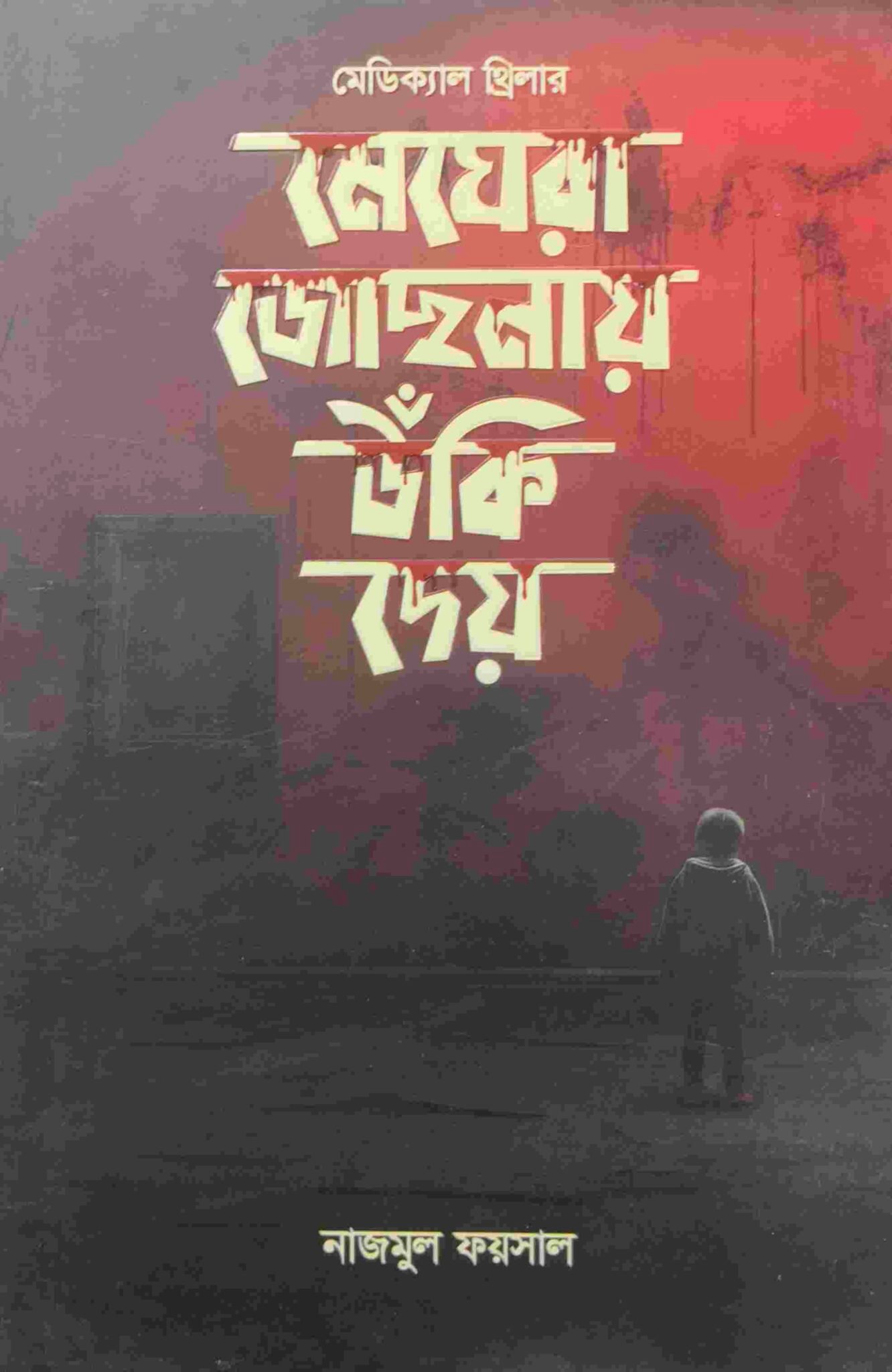 মেঘেরা জোছনায় উঁকি দেয়