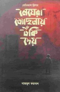 মেঘেরা জোছনায় উঁকি দেয়